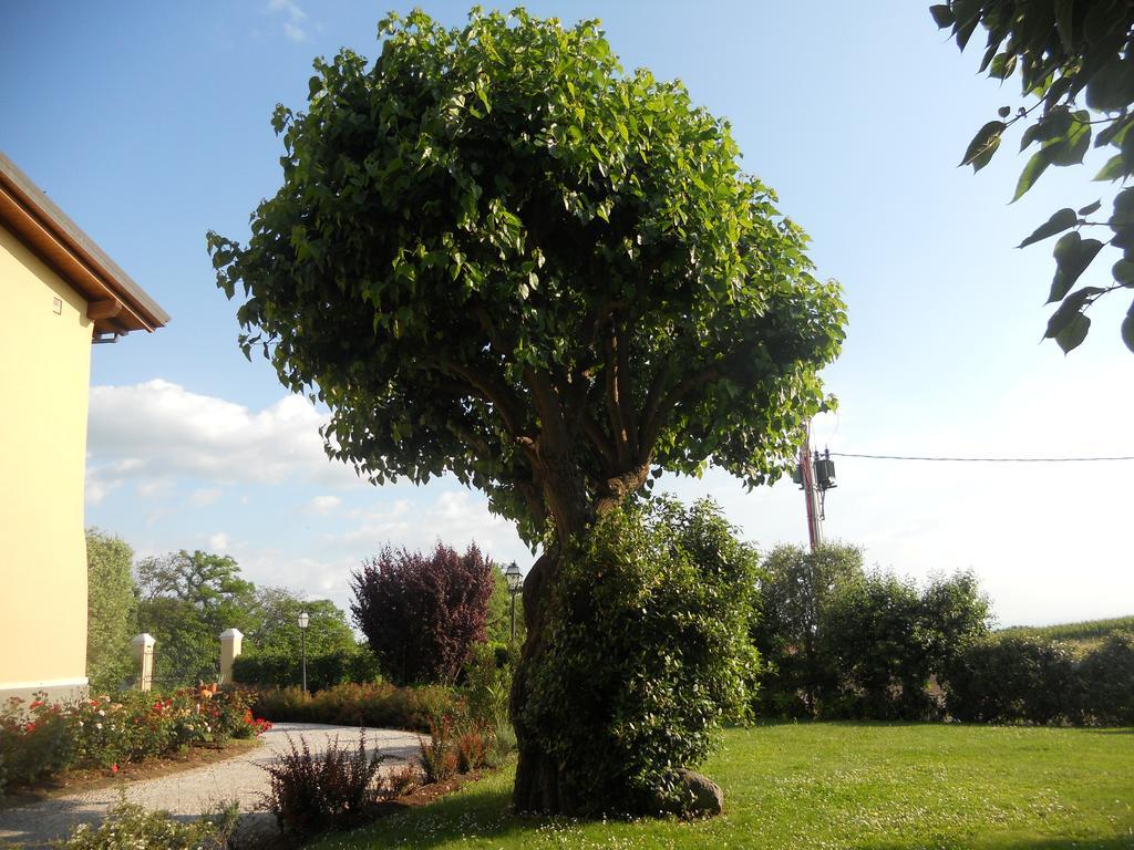 B&B Casa Pagliette Cavriana ภายนอก รูปภาพ