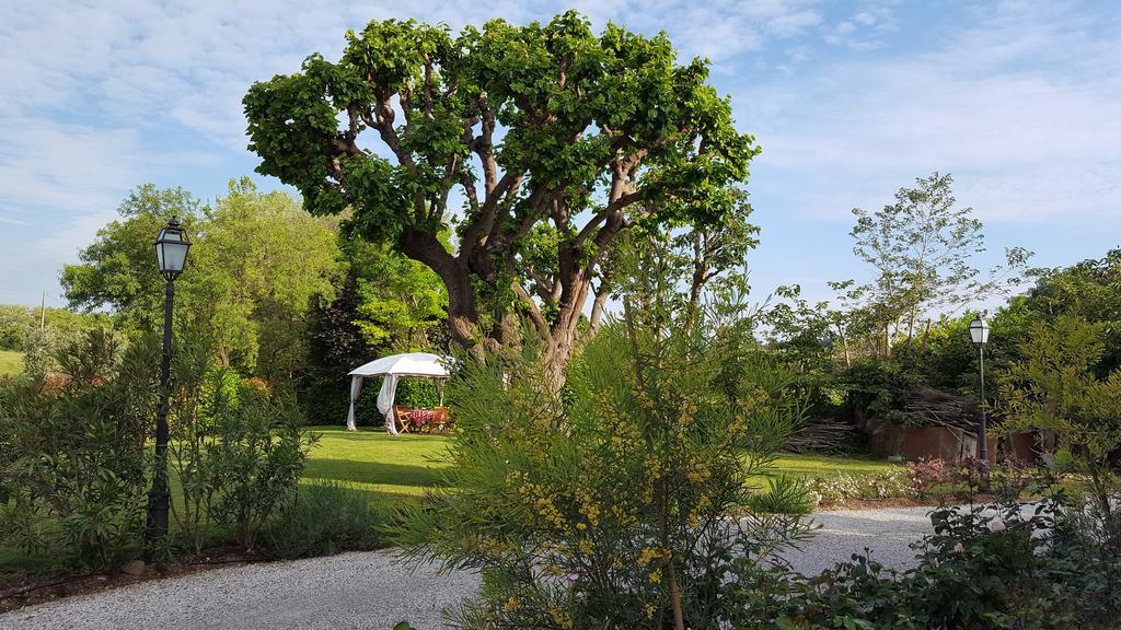 B&B Casa Pagliette Cavriana ภายนอก รูปภาพ